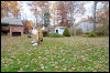 [20121021 TOSManor 2015 e]