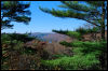 [20121022 CookForest 2020 e]
