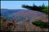 [20121022 CookForest 2021 e]