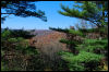[20121022 CookForest 2022 e]