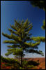 [20121022 CookForest 2023 e]