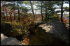 [20121022 CookForest 2024 e]