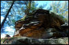 [20121022 CookForest 2031 e]