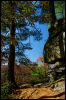 [20121022 CookForest 2034 e]