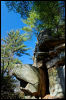 [20121022 CookForest 2036 e]