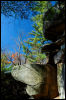 [20121022 CookForest 2037 e]