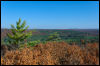 [20121022 CookForest 2038 e]