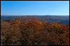 [20121022 CookForest 2040 e]