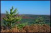 [20121022 CookForest 2043 e]