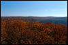 [20121022 CookForest 2044 e]