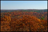 [20121022 CookForest 2047 e]