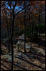 [20121022 CookForest 2048 e]