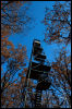 [20121022 CookForest 2051 e]