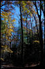 [20121022 CookForest 2060 e]