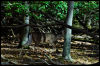 [20121022 CookForest 2068 e]