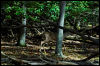 [20121022 CookForest 2069 e]