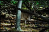 [20121022 CookForest 2070 e]