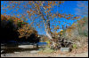 [20121022 RailRoadBridgeArea 2079 e]